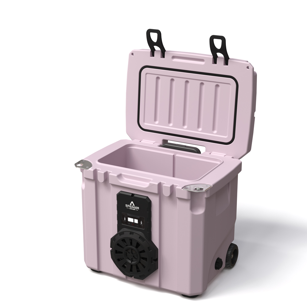 Borsa Frigo Portatile da 35L c - Speakers recensione e prezzo
