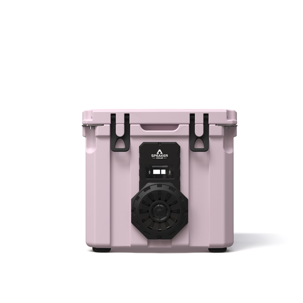 Borsa Frigo Portatile da 35L c - Speakers recensione e prezzo