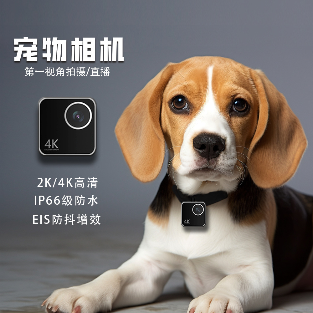 Telecamera per animali domesti - Cameras recensione e prezzo