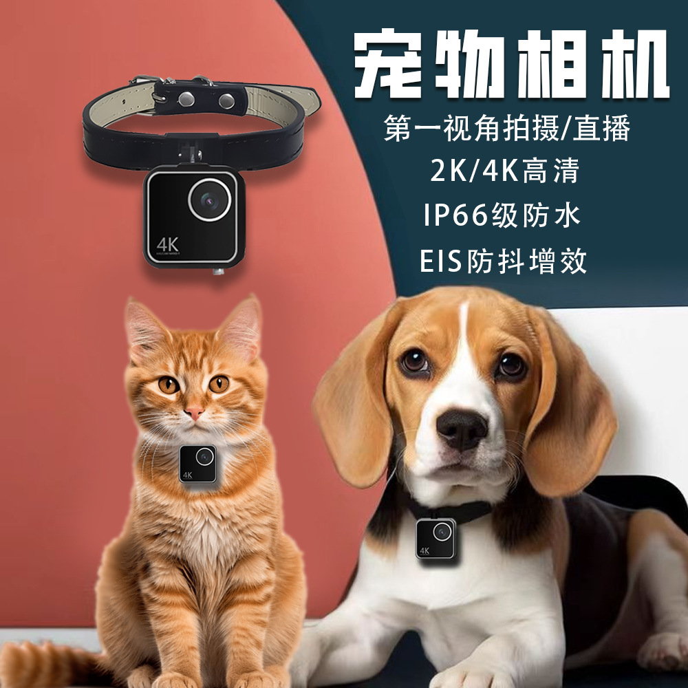 Telecamera per animali domesti - Cameras recensione e prezzo