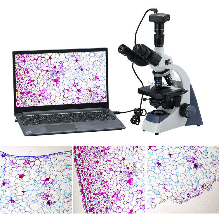 Microscopio Biologico Digitale - Cameras recensione e prezzo