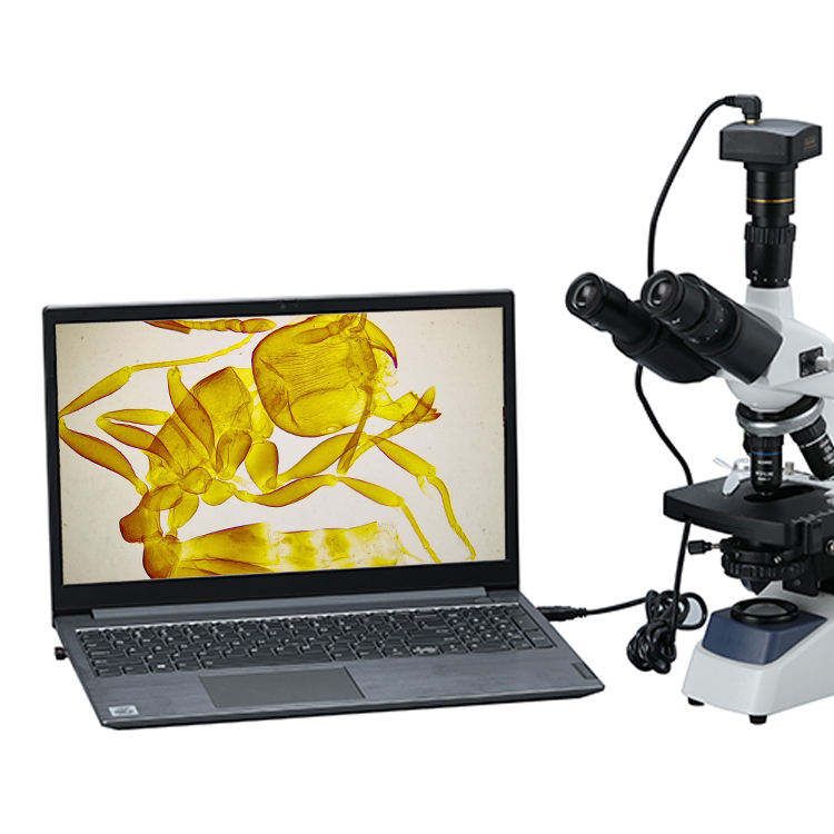 Microscopio Biologico Digitale - Cameras recensione e prezzo